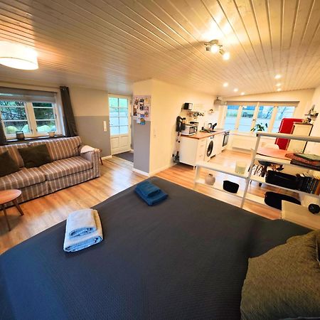 Ferienwohnung Diekblick - Kleiner Deichhof 핱슈테테마슈 외부 사진